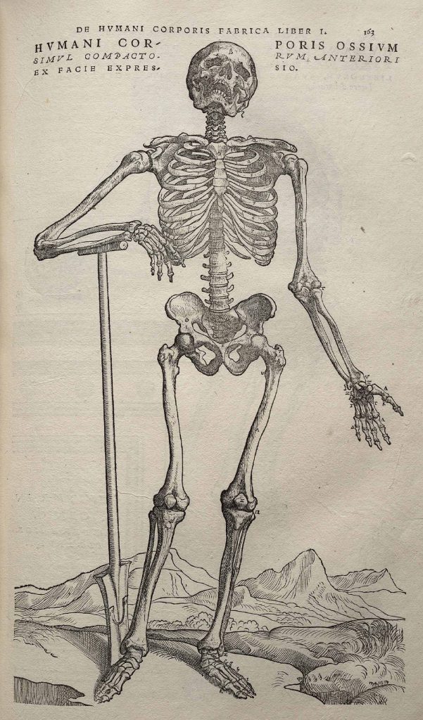 Osteology, Palaeopathology and Forensics
